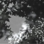 http://root.lightizm.com/files/gimgs/th-76_71_Nostalgia2_v2.jpg